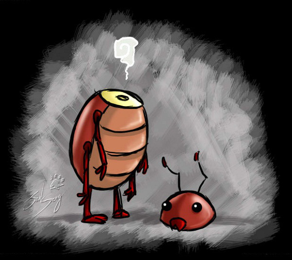 Tại sao gián bị mất đầu vẫn sống được hơn 1 tuần Tại sao gián bị mất đầu vẫn sống được hơn 1 tuần